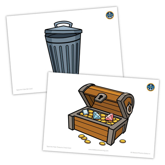 Spot the Fake Treasure Chest and Bin Cards - All Aboard Learning Ltd